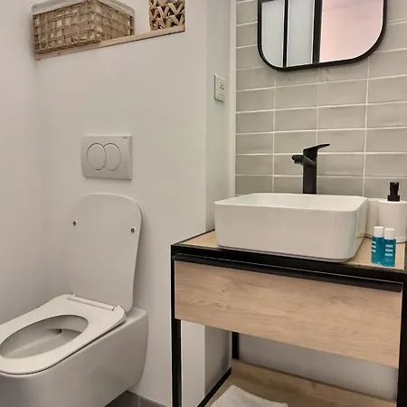 Le Pastelier - Parking Prive - Clim Albi