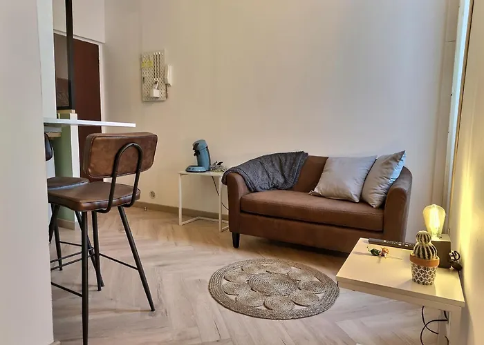 公寓 Le Pastelier - Parking Prive - Clim *