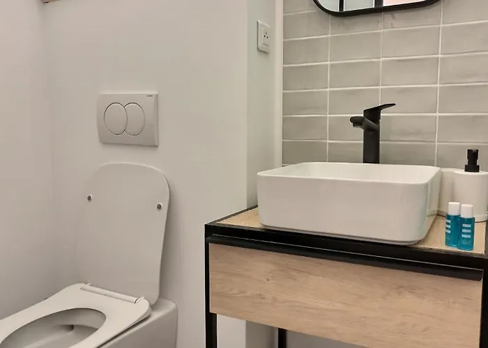 Le Pastelier - Parking Prive - Clim 阿尔比